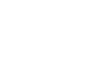 Evolution games at Winolla Casino